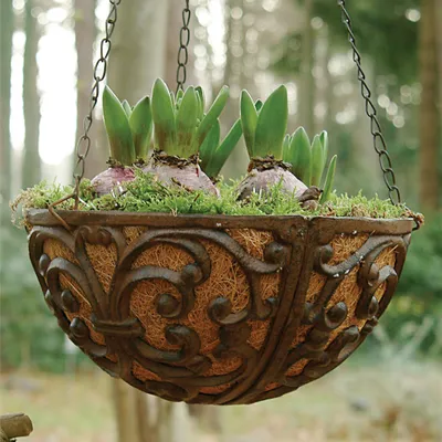 Immagine prodotto di Esschert Design Cestino da appendere in ghisa ø30cm L; BPH26