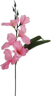 Zdjęcie produktu dla Sztuczny kwiat Gladiola w jasnoróżowym kolorze, 54 cm