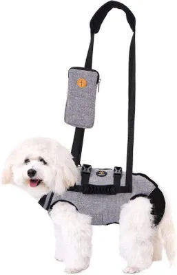 Immagine prodotto di Cuccia per cani di piccola taglia, grigia, in nylon