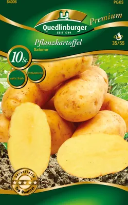 Produktbild von Pflanzkartoffel Salome (10 Stück) (gelb, festkochend, sehr früh) | Pflanzkartoffeln von Quedlinburger
