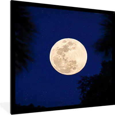 Produktbild von MuchoWow® Gerahmtes Poster Mond - Bäume - Nacht 40x40 cm - Poster mit Schwarzem Bilderrahmen Wandposter Rahmen Foto Bilder - Mit Rahmen - Wanddekoration Schlafzimmer
