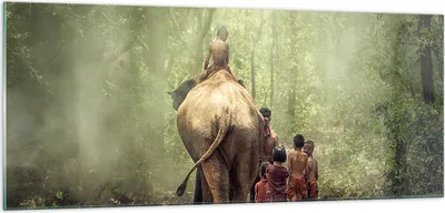 Produktbild von Bilder auf glas - Elefant Dschungel Nebel - 100x40cm - Glasbilder - Wandbilder - Kunstdruck - zum Aufhängen bereit - Wanddekoration aus Glas - Glas Bilder - Wandbild auf Glas - GAB100x40-3438