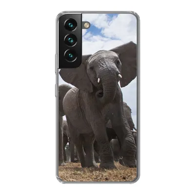 Produktbild von MuchoWow® Handyhülle Schutzhülle Hülle für Samsung Galaxy S22 Elefant - Tiere - Natur - Flachland Silikon Softcase Handy Hülle - Mobiltelefonhülle