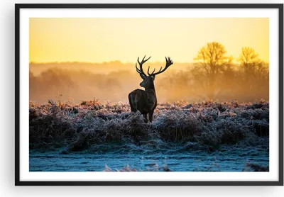 Produktbild von Gerahmtes Poster - Schwarzer Rahmen - Feld Nebel Natur Baum - 91,5x61 cm - Wand Bild - Wanddeko - Wandbilder - Kunstposter - Wandposter - Bilderrahmen - Bilder - Kunstdruck - Wandbild P2BAA91x61-2428