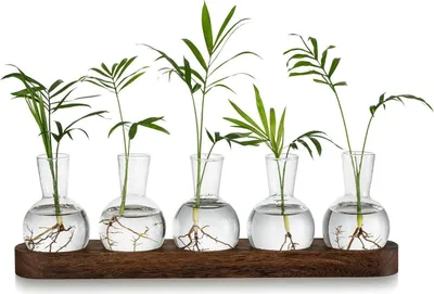Zdjęcie produktu dla Zestaw wazonów do terrarium z roślinami szklanymi i hydroponiką do dekoracji biura i salonu