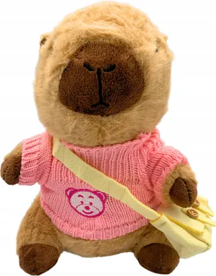 Image de Peluche Capybara Pullover avec sac Peluche 25 cm
