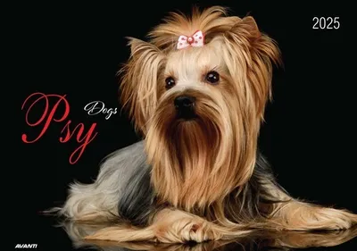 Immagine prodotto di Calendario 2025 Album Cani