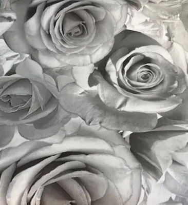 Obrázok produktu pre Tapeta Madison Rose Glitter, sivá, strieborná