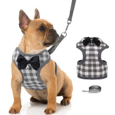 A French Bulldog wearing a plaid harness and leash set, with a separate harness and leash shown next to it.