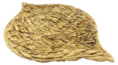 Produktbild von Rattanschale Blatt in 3 Größen braun Tischdeko aus Rattan
