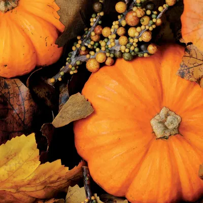 Produktbild von PAPER+DESIGN 193612 Herbst Lunchservietten - 33 x 33 cm, 20 Stück
