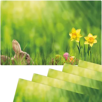 Produktbild von Abwaschbare Tischsets 6er Set Ostern Blumen Osterglocken