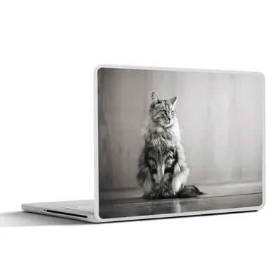 Produktbild von MuchoWow® Laptop Aufkleber Sticker Cover Porträt einer Katze 31x22.5 cm - Laptop-Deko