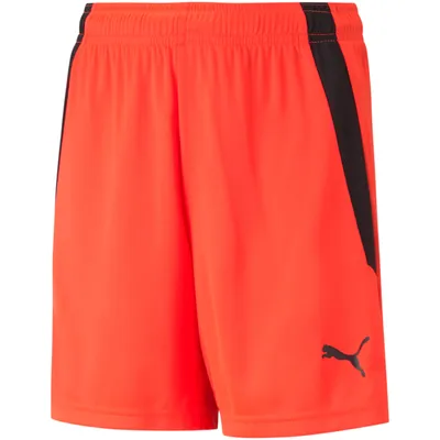 Produktbild von Puma Hosen Teamliga, 70493145, Größe: 176