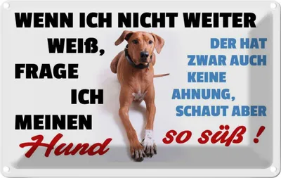 Produktbild von vianmo Blechschild 20x30 cm wenn ich nicht weiter weiß Hund Spruch Zitat