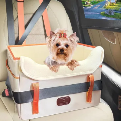 Produktbild von Hundeautositz, wasserdicht, für Rückbank, faltbar, mit Sicherheitsgurt, für kleine Hunde bis 12 kg, für Auto