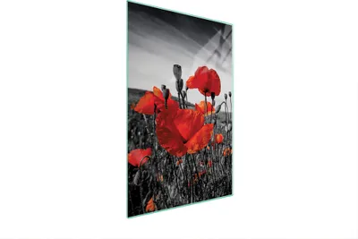Immagine prodotto di Letto Tagliavetro 35X52 Maki