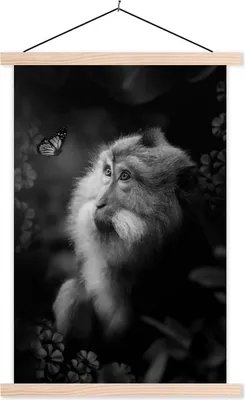 Produktbild von MuchoWow® Textilposter Affe und Schmetterling im Dschungel - schwarz und weiß 120x180 cm mit holzfarbenen Rahmen - Textil-Plakat