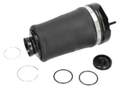 Produktbild von KAVO PARTS SAS-10004 Luftfederung Luftfeder passend für MERCEDES-BENZ M-Klasse (W164) Vorne