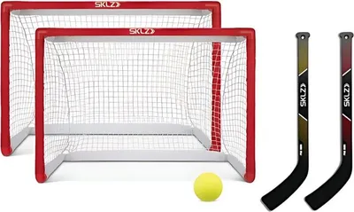 Two hockey nets, two hockey sticks, and a hockey ball are arranged on a white background.