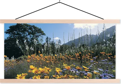 Produktbild von MuchoWow® Textilposter Blumen - Natur - Farbe 60x30 cm mit holzfarbenen Rahmen - Dekoration