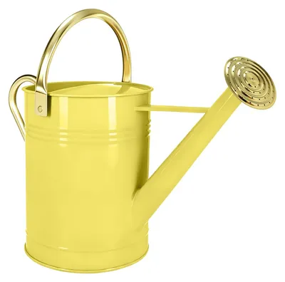 Gießkanne 6,5 l, beige, abnehmbarer Ausgießer, verstellbarer Griff