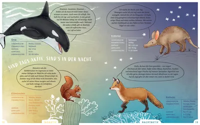 Produktbild von Wir sind die Tiere dieser Welt