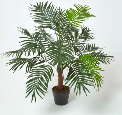 Obrázek produktu pro HOMESCAPES Umělý strom zelený 'Mini umělá palma', 100 cm