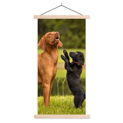 Produktbild von MuchoWow® Textilposter Ein Welpe spielt mit einem erwachsenen Hund 60x120 cm mit holzfarbenen Rahmen - Holz