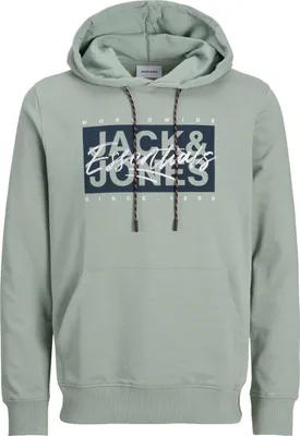 Image de Jack & Jones Hoodie COLTON Hoodie