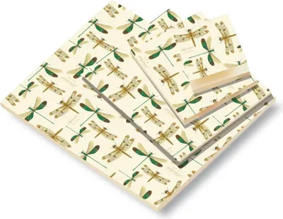 Obrázek produktu pro Ozdobný sešit A5 BR NP 101 C Vážky ROSSI