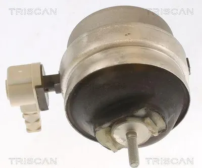 Produktbild von TRISCAN Motorlager für AUDI A4 Avant (8ED, B7) 8505 29111