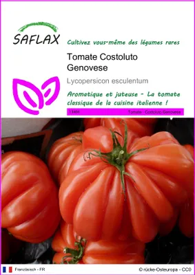 Image de SAFLAX  - Tomate Costoluto Genovese - 10 graines - Lycopersicon