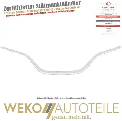 Produktbild von Blende  Kühlergitter DIEDERICHS 4467442 für RENAULT