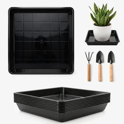 Produktbild von Blumentopf-Untersetzer 15 x 15 cm, quadratisch, 8 Stück, schwarz, für Pflanzen