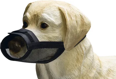 Produktbild von Beeztees Comfort Maulkorb - Hund - Größe XL - Verstellbar - Schwarz -
