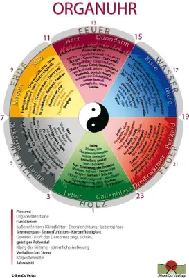 Produktbild von Schaubild Organuhr Fünf Wandlungsphasen und Elemente taoistisch-chinesisch DIN A2