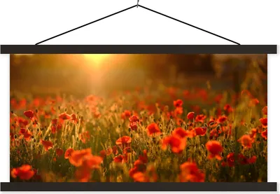 Produktbild von MuchoWow® Textilposter Orangefarbenes Leuchten über den Mohnblumen auf dem Feld 60x30 cm mit schwarzem Rahmen - Textilien