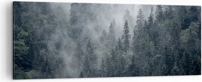 Produktbild von Bild auf Leinwand - Leinwandbild - Wald Baum Natur - 140x50cm - Wand Bild - Wanddeko - Wandbilder - Leinwanddruck - Bilder - Kunstdruck - Wanddekoration - Leinwand bilder - Wandkunst - AB140x50-4074