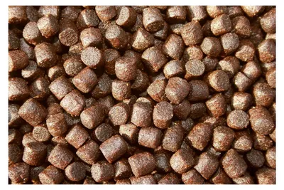 Produktbild von Premium Koifutter für höchste Ansprüche, Tomodachi Koifutter, Power und Condition Schwimmfutter für Koi jeden Alters, 2kg 5mm Koipellets