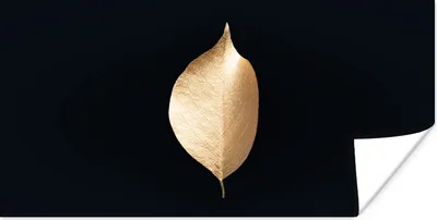 Produktbild von MuchoWow® Poster Blätter - Gold - Schwarz - Pflanzen - Luxus 80x40 cm - Wanddeko