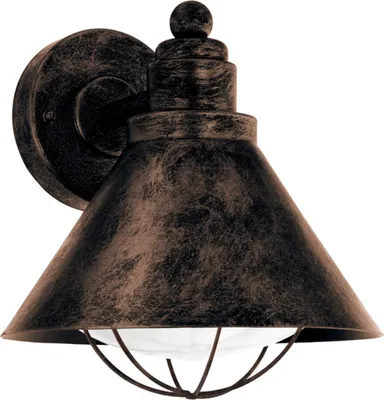 A single outdoor wall light fixture with a conical shade and a wire cage around the bulb.