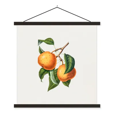 Produktbild von MuchoWow® Textilposter Lebensmittel - Obst - Jahrgang 40x40 cm mit schwarzem Rahmen - Fotos