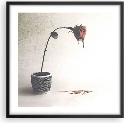 Produktbild von Gerahmtes Poster - Schwarzer Rahmen - Symbol Rose Leiden - 50x50 cm - Wand Bild - Wanddeko - Wandbilder - Kunstposter - Wandposter - Bilderrahmen - Bilder - Kunstdruck - P2BAC50x50-4501