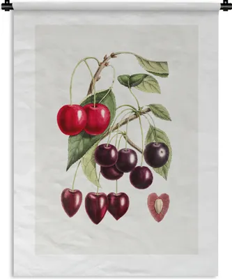 Produktbild von MuchoWow® Wandteppich Wandbehang Kirschen - Obst - Zweig 150x200 cm Tapisserie Dekoration Wandtuch - Wandaufhängung - Moderner