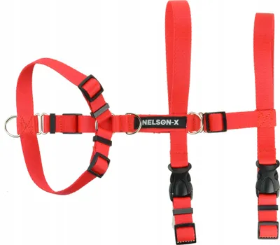 Produktbild von Ausbruchsicheres Hundegeschirr Easy Guard Walk Nelson-X Grösse Xl Für Ttouch