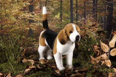 Produktbild von Kösen Hund Beagle 34 cm stehend Stofftier