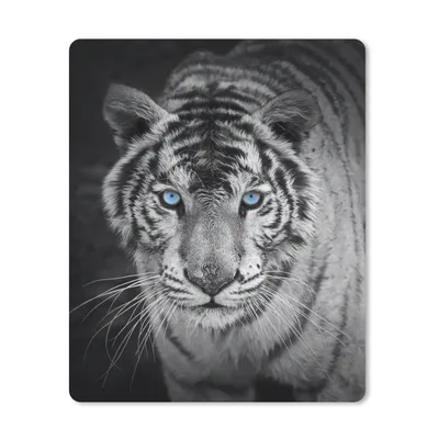 Produktbild von MuchoWow® Mauspad Mousepad Tiere - Tiger - Schwarz und weiß - Augen - Blau 30x40 cm - Mousepads - Maus Mat - Pad - Mausunterlage - Mausmatten