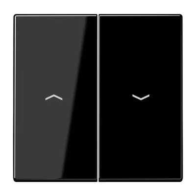 Obrázok produktu pre Jung LS 995 P SW (LS995PSW)