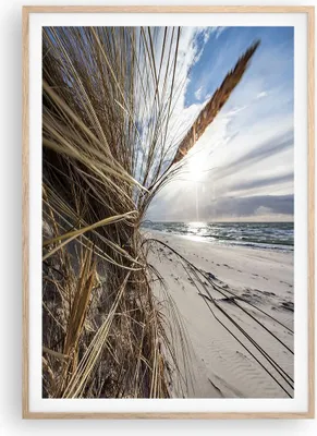 Produktbild von Gerahmtes Poster - Rahmen in heller Eiche - Küste Perspektive Gras - 70x100 cm - Wand Bild - Wanddeko - Wandbilder - Kunstposter - Wandposter - Bilderrahmen - Bilder - Kunstdruck - P2NPA70x100-4526